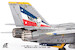 Grumman F14D Tomcat US Navy VF-2 Bounty Hunters, Last Cruise, 2003 JCW-72-F14-018