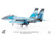 McDonnell Douglas F15DJ  JASDF Tactical Fighter Training Group, 40th Anniversary Edition, 2021  JCW-72-F15-019