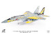 McDonnell Douglas F15DJ JASDF, 306th Tactical Fighter Squadron, 40th Anniversary, 2021