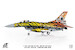 F16C Fighting Falcon Turkish Air Force, 192 Filo "Kaplan", Tiger Meeting 2016