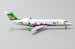 Canadair CRJ200ER China Yunnan Airlines B-3013  LH2183