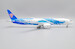 Boeing 787-9 Dreamliner China Southern Airlines "Wings of Dream" B-1242  LH2353