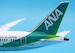 Boeing 787-8 Dreamliner ANA All Nippon Airways "ANA Future Promise Livery" JA874A Flaps Down  SA2035A