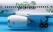 Boeing 787-8 Dreamliner ANA All Nippon Airways "ANA Future Promise Livery" JA874A Flaps Down  SA2035A