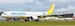 Airbus A330-900neo Cebu Pacific Air RP-C3900