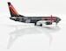 Boeing 737-800 United Airlines "SW" N36272 Flaps down  XX20284A