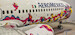 Boeing 737 MAX 9 AeroMexico "Kukulcán" XA-GQS 