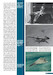 McDonnell Douglas/Boeing F-15 Eagle 9788076481008