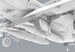 CT-114 Tutor THE BIG 2 Canadian Forces Flight Training School  JOY-004