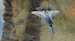 DC Designs F-15 C, E & I Eagle (FSX, P3D V1/V2/V3 download version)  J3F000281-D