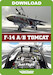 DC Designs F-14 A/B Tomcat (download version) J3F000301-D
