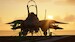 DC Designs F-14 A/B Tomcat (download version)  J3F000301-D