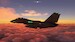 DC Designs F-14 A/B Tomcat (download version)  J3F000301-D