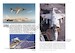 Hawker Siddeley (BAe), McDonnell-Douglas/Boeing Harrier AV-8S/TAV-8S & AV-8B/B+/TAV-8B . First and second generation Harriers in the Spanish Navy 9788366148833