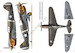 Curtiss P40 Camouflage & markings Vol. I 9788366673380