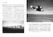 Eyes of the Fleet, Seaplanes in Argentine Navy Service 9788367294164