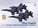 Blue Angels US Navy Flight Demonstration Squadron 33010