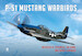 P-51 Mustang Warbirds 