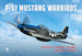 P-51 Mustang Warbirds