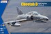 Atlas Cheetah D - SAAF Fighter K-48081