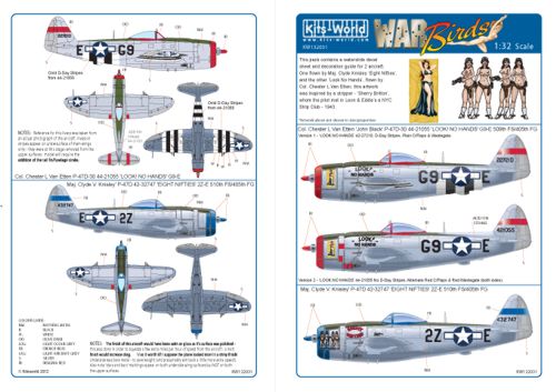 P47D Thunderbolt "Look, no hands", Eight Nifties") kw132031