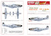 P51D Nose Art (79FS/20FG) Panty Waste & Jay Bee/Suzanne kw148061