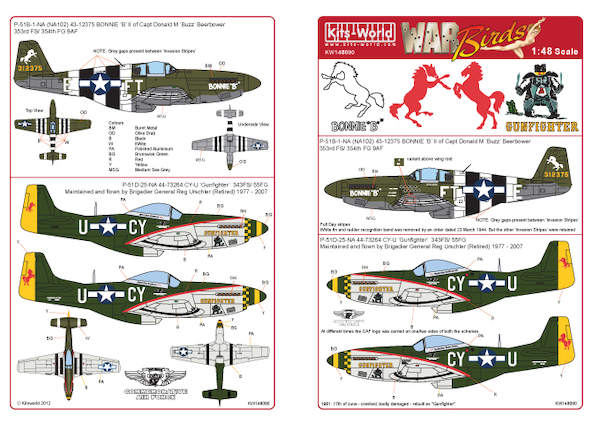 P51B Mustang ("Bonnie B"& Gunfighter)  kw148090