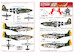 P51B Mustang ("Bonnie B"& Gunfighter) kw148090