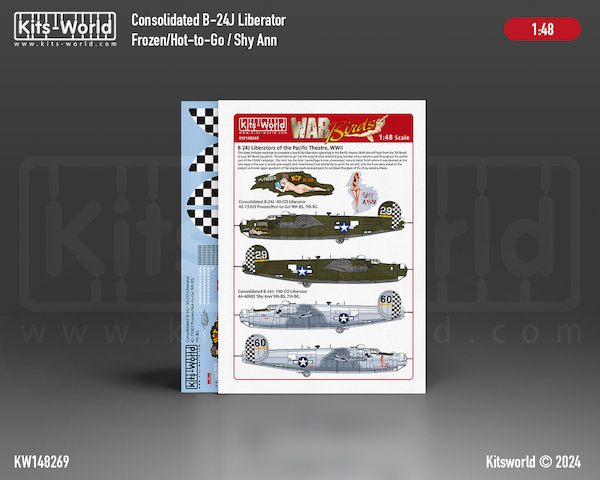 B24J Liberators of the Pacific Theatre WWII KW148269
