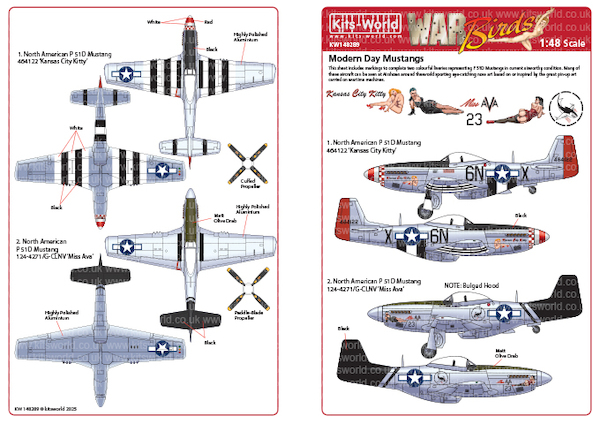 P-51D Mustang "Modern Day Mustangs" 1  KW148289