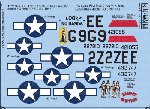 P47D Thunderbolt Nose Art ("Look, No hands" 2x, and "Eight Nifties") KW172052