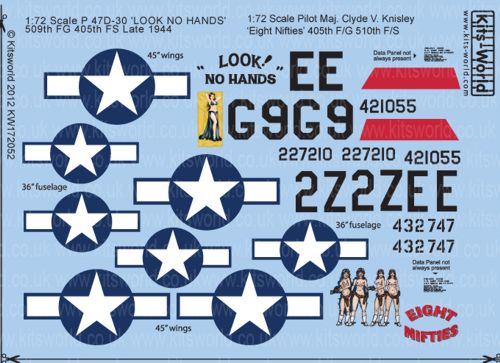 P47D Thunderbolt Nose Art ("Look, No hands" 2x, and "Eight Nifties")  KW172052