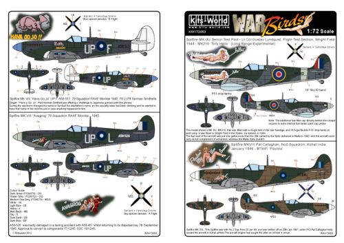 Spitfire MKIX/VIII KW172053