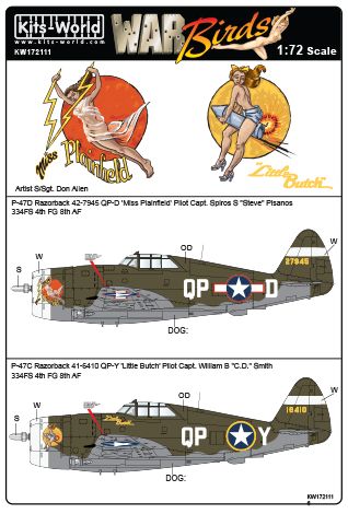 P47C/D Thunderbolt Razorback kw172111