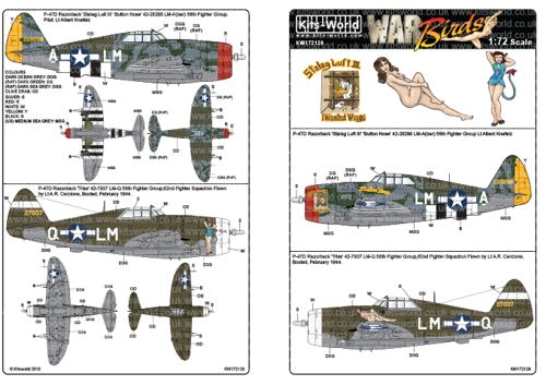 Republic P-47D Razorback kw172129