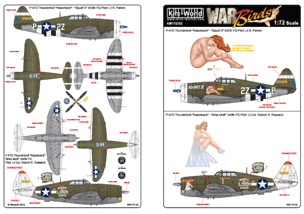 Republic P-47D Razorback  kw172132