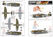 Republic P-47D Razorback kw172132