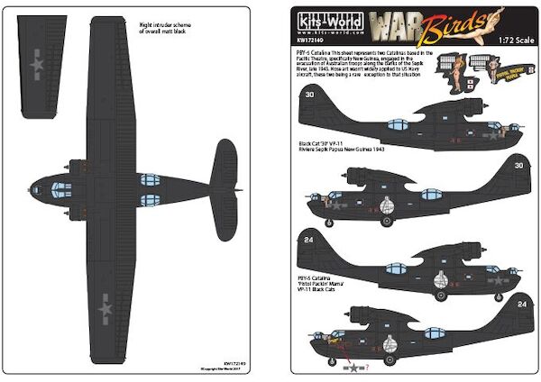 Consolidated PBY5A Catalina "Black Cat" KW172149