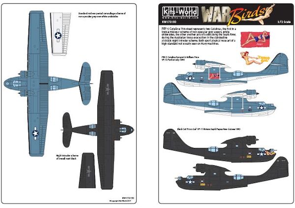 Consolidated PBY5A Catalina "Black Cat"  KW172150