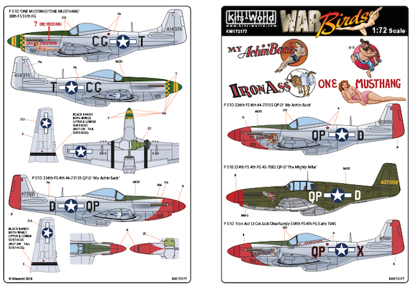 P51 Mustang (My Aching back, The Mighty Mite, Iron Ass)  KW172177