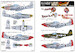 P51 Mustang (My Aching back, The Mighty Mite, Iron Ass) KW172177