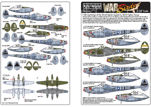 Lockheed P38J Lightnings of the 392FS, 367 FG  kw172227