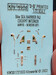 Hawker Sea Harrrier FA2 Instrument Panels with screens off (Airfix) KW3D1721033
