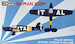 Saiman 202M - Italian aviation Attache in Finland KPK72180