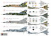 Dassault Mirage IIIE  KPH7217