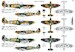 Spitfire Mk.IIA 'Polish Eagles'  KPM0303