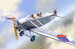 Avia BH9 "Boska" Czechoslovak trainer of the 1920s KPM4818