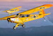 Piper L-18/21 Super Cub 'Military users' including Dutch Air Force KPM72537