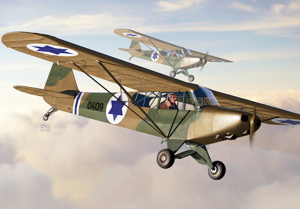 Piper L-18C Super Cub  'Military'  KPM72539