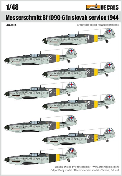 Messerschmitt BF109G-6 in Slovak Service 1944  DEC48004